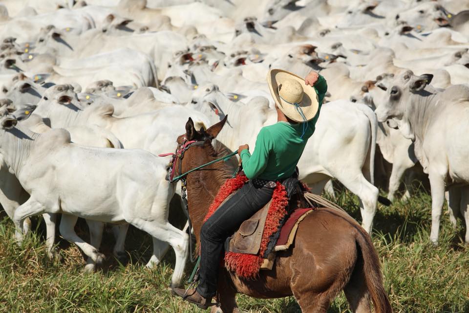 Agropecuária Jacarezinho e seu grande evento de 25 anos