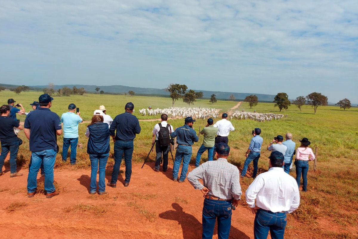 CFM recebe pecuaristas e exibe destaques da safra 2021