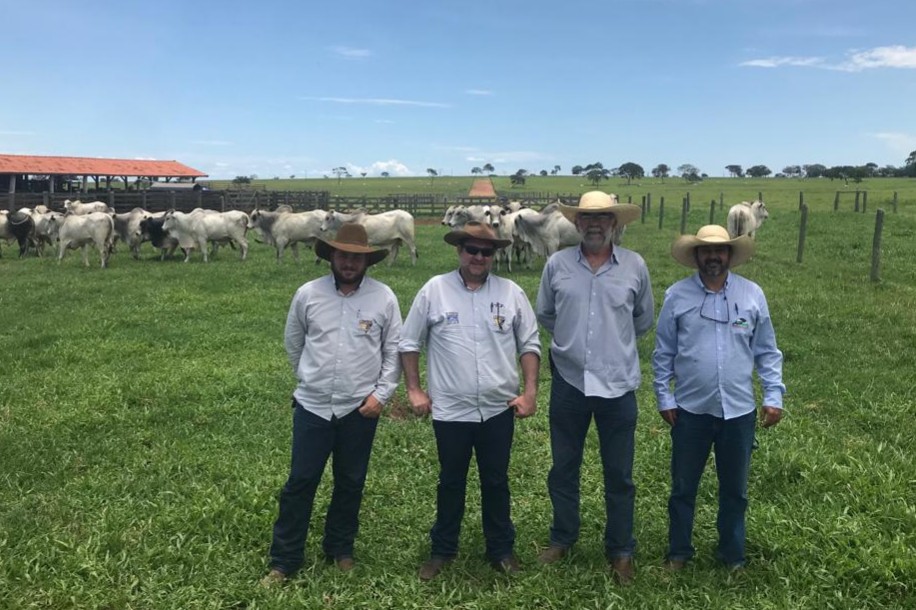 Conferindo os planos e preparação da Fazenda Modelo para 2019