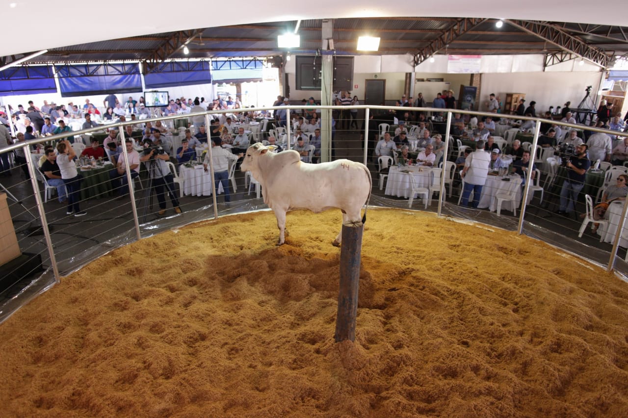 Central Leilões tem destaque em blog da Globo Rural