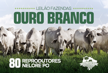 LEILÃO FAZENDAS OURO BRANCO