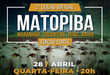 2º LEILÃO VIRTUAL MATOPIBA - EDIÇÃO CORTE