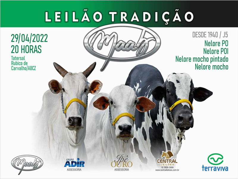 LEILÃO VIRTUAL TOUROS ARAGUARINA AGROPASTORIL