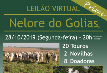 LEILÃO VIRTUAL NELORE DO GOLIAS