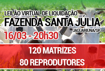 LEILÃO VIRTUAL LIQUIDAÇÃO DE PLANTEL FAZENDA SANTA JÚLIA