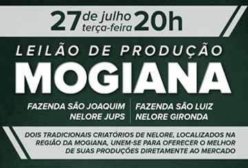 LEILÃO DE PRODUÇÃO MOGIANA