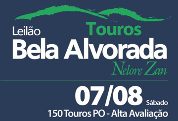 LEILÃO TOUROS BELA ALVORADA - NELORE ZAN