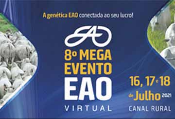 8º MEGA EVENTO EAO - MATRIZES