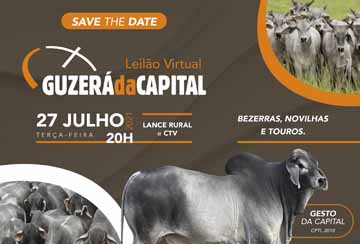 LEILÃO VIRTUAL GUZERÁ DA CAPITAL