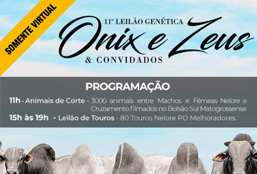 11º LEILÃO GENÉTICA ONIX E ZEUS & CONVIDADOS - TOUROS