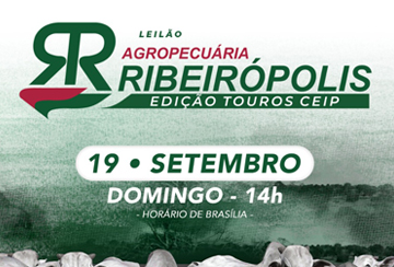 LEILÃO AGROPECUÁRIA RIBEIRÓPOLIS - EDIÇÃO TOUROS CEIP