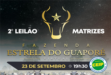 2º LEILÃO MATRIZES FAZENDA ESTRELA DO GUAPORÉ