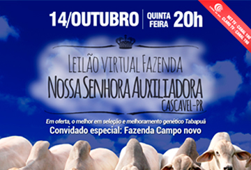 LEILÃO VIRTUAL FAZENDA NOSSA SENHORA AUXILIADORA