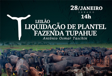 LEILÃO LIQUIDAÇÃO DE PLANTEL FAZENDA TUPAHUÊ