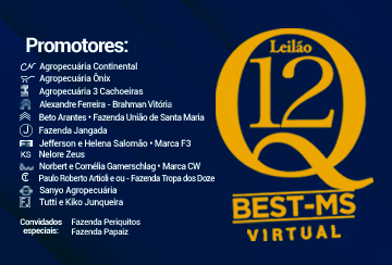 LEILÃO VIRTUAL Q12 - BEST/MS