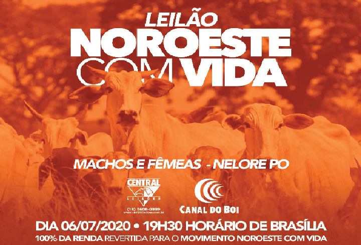 LEILÃO NOROESTE COM VIDA