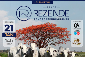 LEILÃO VIRTUAL GRUPO REZENDE