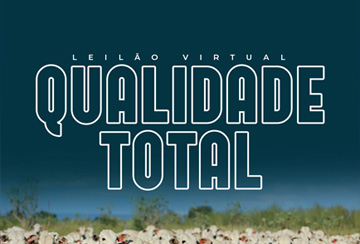 LEILÃO VIRTUAL QUALIDADE TOTAL