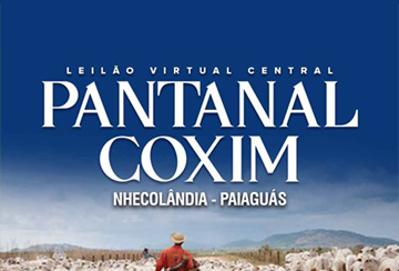 LEILÃO VIRTUAL CENTRAL PANTANAL COXIM