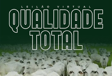 LEILÃO VIRTUAL QUALIDADE TOTAL