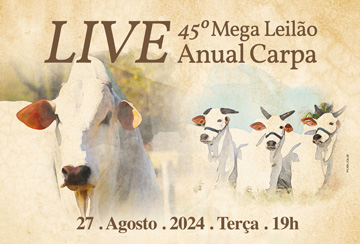 LIVE APRESENTAÇÃO DOS ANIMAIS -  45º MEGA LEILÃO ANUAL CARPA