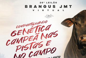 20º LEILÃO VIRTUAL BRANGUS JMT