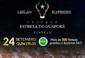 LEILÃO VIRTUAL MATRIZES FAZENDA ESTRELA DO GUAPORÉ