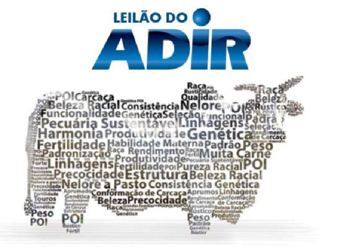 LEILÃO DO ADIR