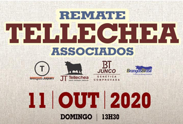 REMATE TELLECHEA ASSOCIADOS