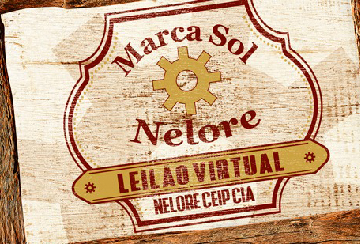 LEILÃO VIRTUAL MARCA SOL NELORE