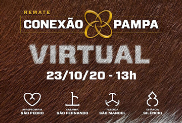 REMATE VIRTUAL CONEXÃO PAMPA