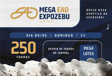 MEGA EAO EXPOZEBU VIRTUAL - TOUROS