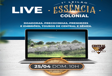 LIVE - 1º LEILÃO ESSÊNCIA COLONIAL