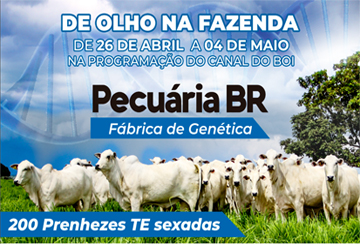 DE OLHO NA FAZENDA PECUÁRIA BR (DE 26 DE ABRIL A 04 DE MAIO)