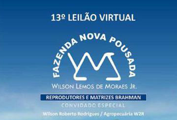 13º LEILÃO VIRTUAL FAZENDA NOVA POUSADA