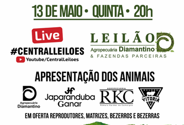 LIVE - LEILÃO AGROPECUÁRIA DIAMANTINO & FAZENDAS PARCEIRAS