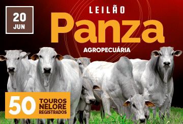 LEILÃO PANZA AGROPECUÁRIA