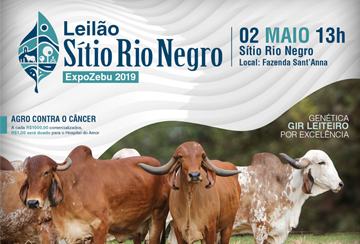 LEILÃO SÍTIO RIO NEGRO