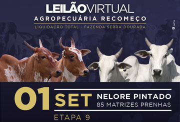 LEILÃO LIQUIDAÇÃO AGROPECUÁRIA RECOMEÇO - ETAPA 09