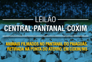 LEILÃO CENTRAL - PANTANAL - COXIM