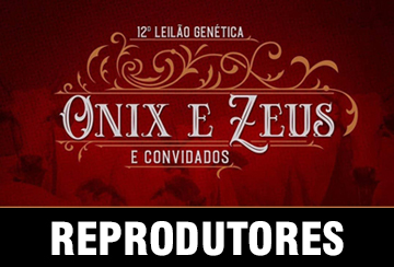 12º LEILÃO GENÉTICA ONIX E ZEUS E CONVIDADOS - REPRODUTORES