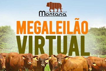 MONTANA - MEGALEILÃO VIRTUAL