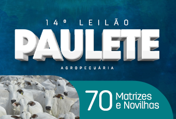 14º LEILÃO PAULETE AGROPECUÁRIA - ETAPA MATRIZES