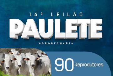 14º LEILÃO PAULETE AGROPECUÁRIA - ETAPA REPRODUTORES