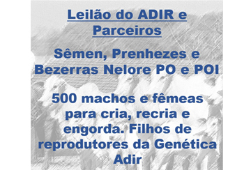 LEILÃO DO ADIR E PARCEIROS