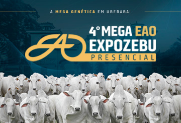 4º MEGA EAO EXPOZEBU - FÊMEAS