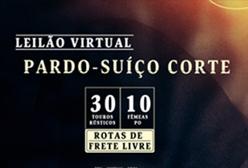 LEILÃO VIRTUAL PARDO SUIÇO CORTE