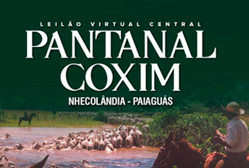 LEILÃO VIRTUAL CENTRAL PANTANAL COXIM