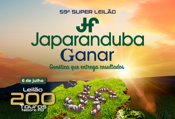 59º SUPER LEILÃO JAPARANDUBA GANAR - TOUROS