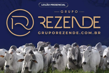 LEILÃO TOUROS GRUPO REZENDE